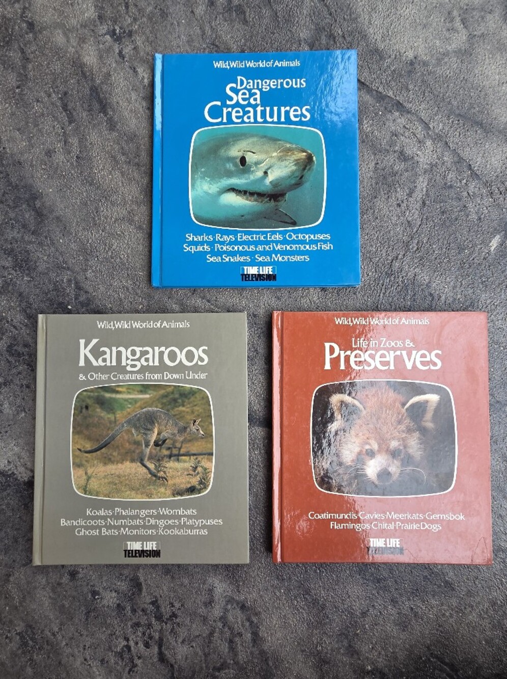 Wild World of Animals Hardcover Book Set-